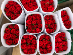 Premium Roses – Hosur (All Colours) - Image 3