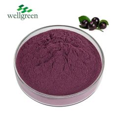 High Quality Acai Berry Juice Powder Fruit Flavor Powder Acai Berry Powder - Image 1