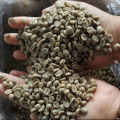 arabica and robusta green beans – product photo 1, product detail gallery