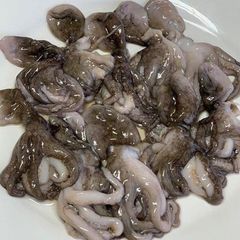 Premium Quality for Wholesale frozen whole octopus cleaned from Thailand. - Image 2
