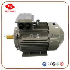 Ye2 15kw High Efficiency Three Phase Induction Motor - Fuding Brothers Power Co., Ltd.