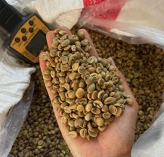 Robusta and Arabica Coffee from Indonesia – product photo 1, product detail gallery