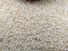 SESAME SEEDS - Image 1