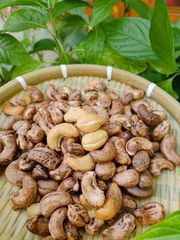 [Fresh/Roasted] CASHEW NUT (With/Without) Shells WITH HIGH QUALITY AND BEST PRICE - Image 1