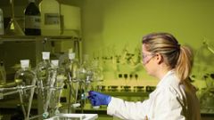 Premium Spanish-Origin 100 % Pure Apricot Kernel Oil Refined For Culinary Use Flexitank - Image 5