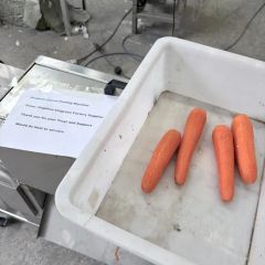 Vegetable Peeling Machine Stainless Steel Carrot Peeling Machine Fresh Carrot Skin Peeling Machine - Image 2