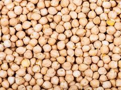 Sortex-Cleaned Chickpeas/Kabuli Chana 7-14 mm with Moisture Max 12% and Broken Kernels Max 1-2% – product photo 3, product detail gallery