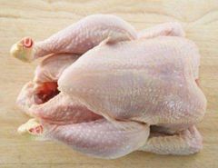 Frozen Chicken