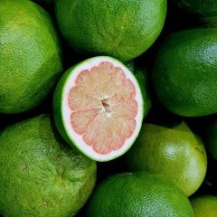 EXPORT-READY GREEN SKIN PINK FLESH POMELO: YOUR GLOBAL CITRUS SOLUTION - Image 1