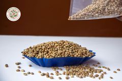 ROBUSTA AND ARABICA COFFEE BEANS - Image 1