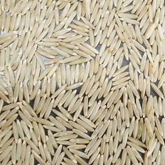Super Brown Basmati Rice – Premium Long Grain | Pesticide-Free | MRL Compliant | Origin Pakistan - Image 1