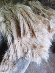 Company – thumbnail 1 of 4, supplier detail gallery