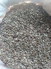 Charcoals - Image 12