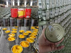 Very Popular TOP SALE High Quality Baby Cucumbers Soaked Canned Fruit 680g in Salt Direct From Vietnam Factory 680ml - Image 5