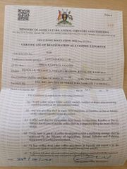 COFFEE EXPORT LICENCE certificate from CENTS COFFEE LTD