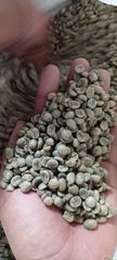 INDONESIAN SPECIALTY ARABICA GREEN COFFEE BEANS FULL WASHED, CUPPING SCORE 85.3 - Image 1