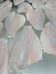 Frozen Shrimp Prawn and Tilapia Fillets - Image 5