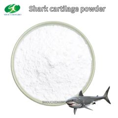 Common Shark Cartilage Extract Powder Low Price - Image 5