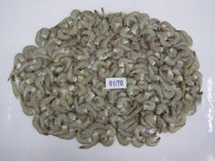 Company – thumbnail 23 of 30, supplier detail gallery