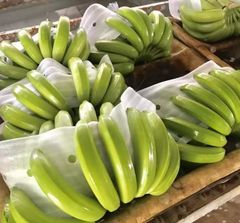 Fresh Cavendish Banana – product photo 3, product detail gallery