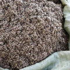 Cotton seed hulls - Image 1