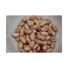 Sugar beans available for international food service and distribution - Image 3