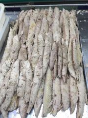 Frozen Precooked Skipjack Tuna Loin Type Fish Origin China HS Code 160414 Model NO. FF-33 Trademark DACHENG Process - Image 6