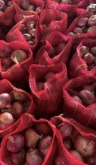 Onion – product photo 1, product detail gallery
