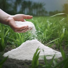 Fertilizer