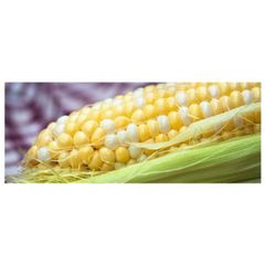 Fresh Corn Sweet Yellow Corn on Cob Wholesale Bulk Supplier Premium Quality - Image 5
