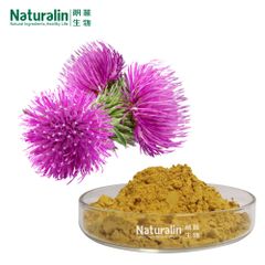 Milk Thistle Extract - Image 3
