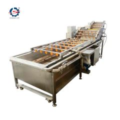 Alfafla Sprouts, Watercress, Lettuce Washing and Drying Machine - Image 2
