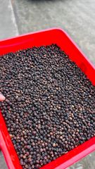 Black pepper gl 550 pure – product photo 1, product detail gallery