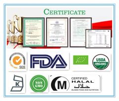 Best Price Organic Panax Ginseng Root Extract for Healthy - Image 6