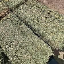 Export Grade Alfalfa Hay Clean Compressed Bale Low Dust High Nutrition for Animal Feed – product photo 5, product detail gallery