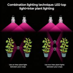 Side-Lighting High Luminous Intensity Density Waterproof Embedded LED Plant Grow Light for Indoor Greenhouse - Image 6