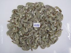 Company – thumbnail 26 of 30, supplier detail gallery
