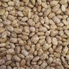 Pinto beans for sell Grade A Flavor Earthy Origin Germany Texture Creamy Shelf Life 24 MONTHS Place of Origin GERMANY Color Uniform Light Brown When Cooked - Image 2