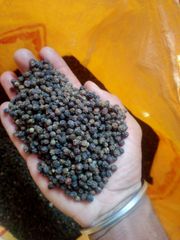 Orginic black pepper – product photo 1, product detail gallery