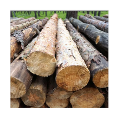 Fresh Cut Spruce Logs - Wholesale Prices for Bulk Orders - Image 5
