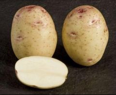 Potato Kara - Image 1