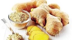 Ginger – product photo 1, product detail gallery