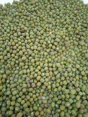 Green beans - Image 1