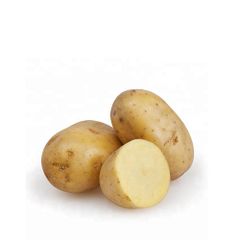 Fresh Potatoes Bulk Fresh Harvest Large Size Clean Natural Potatoes For Export Buyers - Image 4
