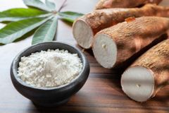 Premium Organic Gluten-Free Cassava Flour from Indonesia | Bulk Export Supply – product photo 1, product detail gallery