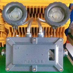 Customized Emergency Exit Sign Light Explosion Proof Emergency Light - Image 5