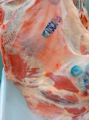 Fresh beef Carcasses, Fresh Mutton Carcasses, Fresh Lamb, Fresh Camel meat, Frozen Meat product, Vegetable - Image 1