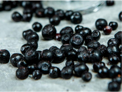 Frozen Wild Blueberry - Image 2