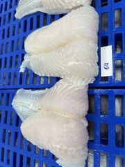 Frozen Pangasius Fillet - Image 2