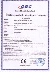 CE 2 certificate from Wenzhou Toppro Machinery Co., Ltd.